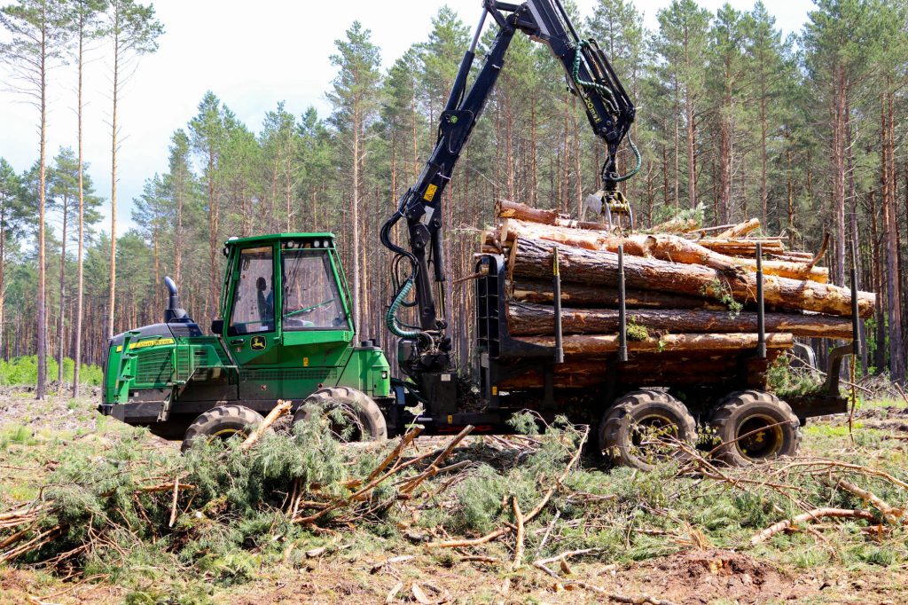 Img 6995 2000x1333 1 1024x682