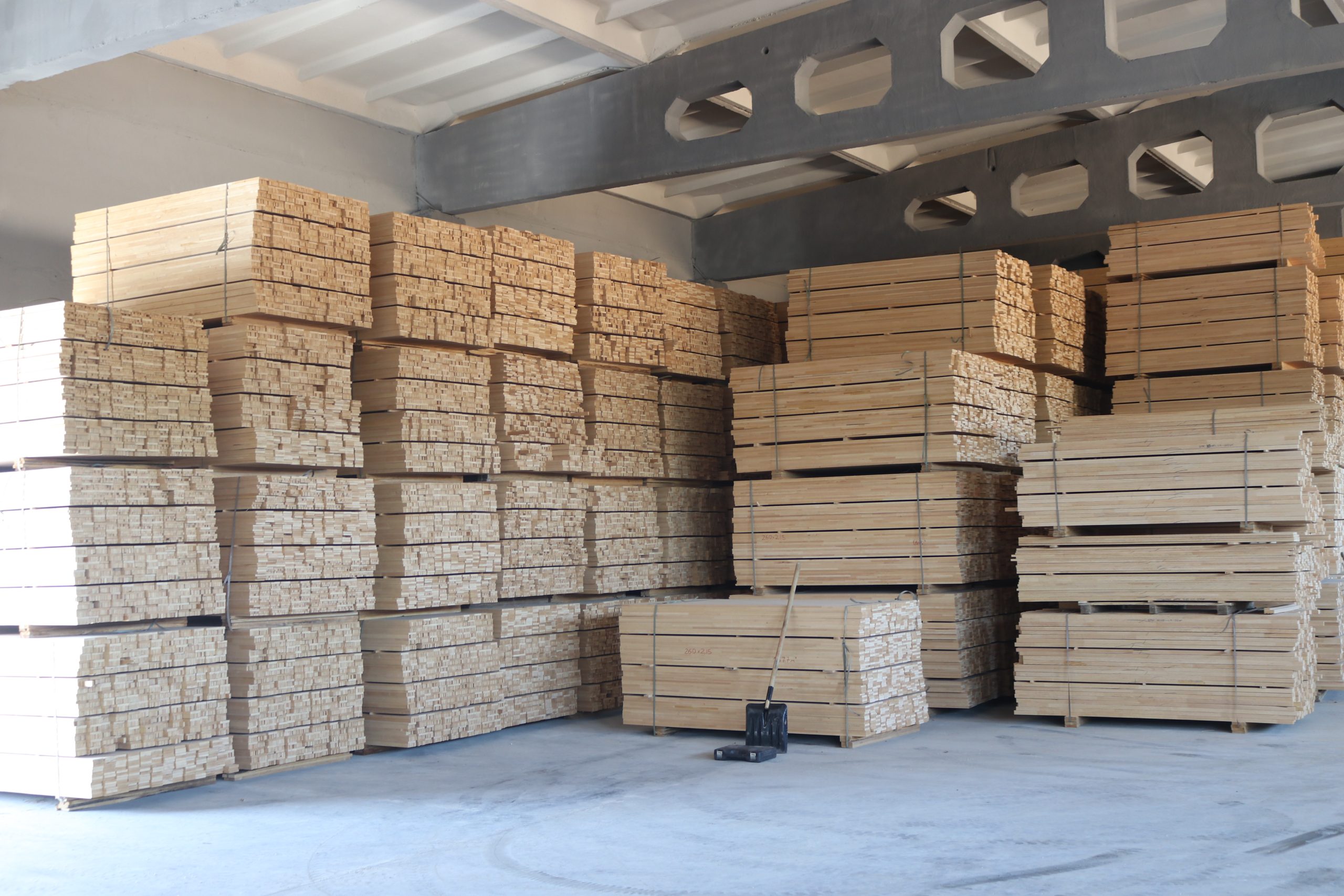 Чёрная ольха